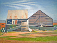 Corrugated iron & Sky, Brinkworth 2008