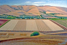Ploughed Paddocks, Willunga 2002
